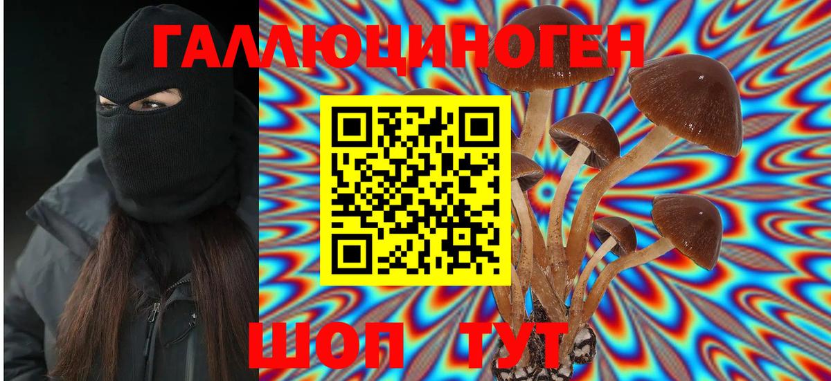 Псилоцибиновые грибы Magic Shrooms  Вход с VPN  Йошкар-Ола  Галлюциногенные грибы Cubensis 